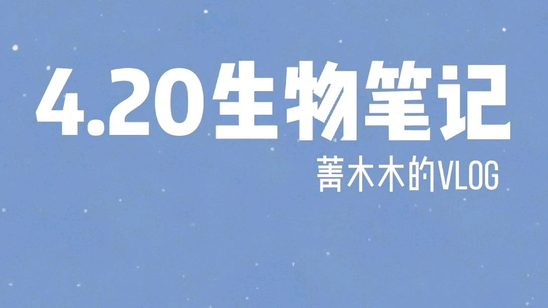 菁木木的study学习vlog